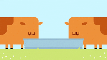 Disturb Wake Up GIF by CBeebies HQ