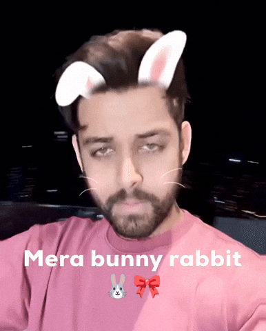 Bunny Rabbit GIF