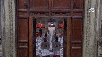 Walking Out Cardinals GIF by PBS News