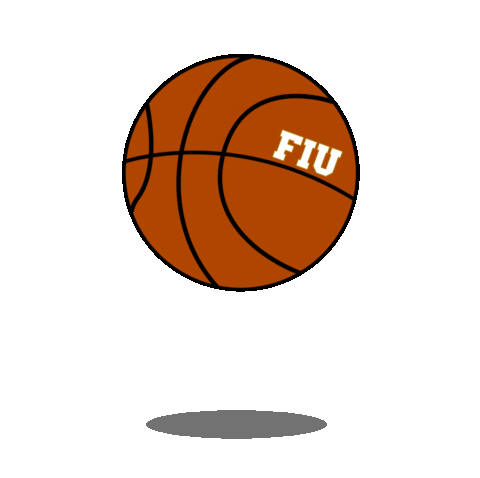 Basketball Nba Sticker by FIU