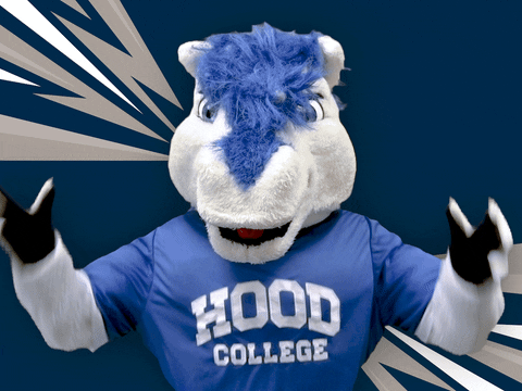 Shock No GIF by Hood College