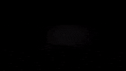 ReplayTuga  GIF