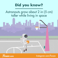 basketball space GIF by Ficazo