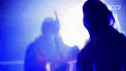 Professional Wrestling Wwe GIF by DARK SIDE OF THE RING