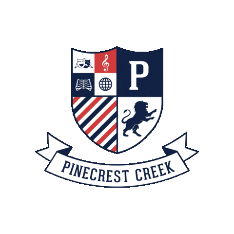 Lions Sticker by Academica