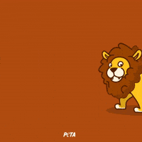 Animal Rights GIF by PETA