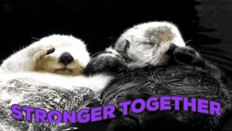 stronger together otter GIF by chuber channel