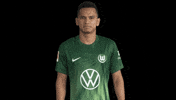 Bundesliga No GIF by VfL Wolfsburg