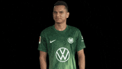 Bundesliga No GIF by VfL Wolfsburg