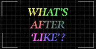 Rainbow Typography GIF by EnVi Media