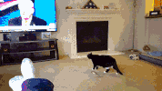 GIF by Demic