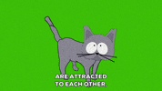 cat meow GIF by South Park 