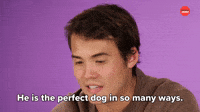 He is the Perfect Dog