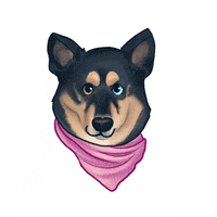 Sketchbooksarah dog puppy husky german shepherd GIF