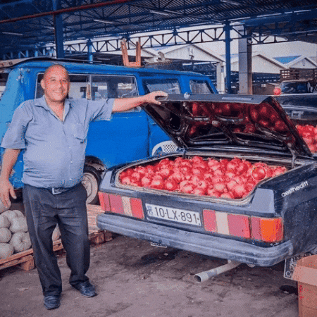 Fast And Furious Fun GIF