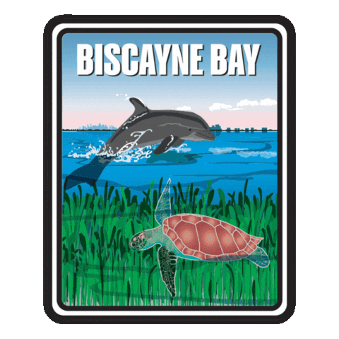 Biscayne Bay Sticker by FLDEP