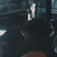 Kevin Ec GIF