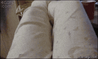 Cat Sup GIF
