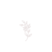 quimera_rosa minimal plants plantas ramas Sticker