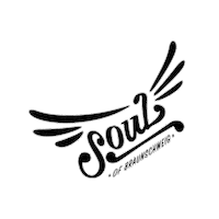 IfABird soul braunschweig sobs ifabird Sticker