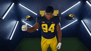 Go Blue College Football GIF by Michigan Athletics