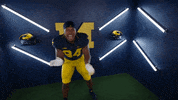 Go Blue College Football GIF by Michigan Athletics