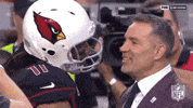 2018 Nfl Football GIF by NFL
