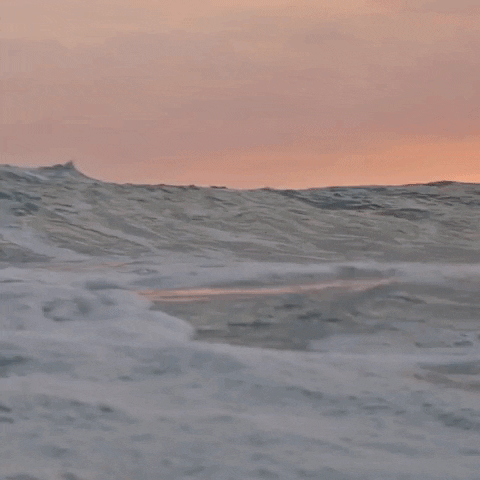 Costa Rica Surf GIF by Chris