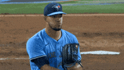 Blue Jays Baseball GIF by Toronto Blue Jays