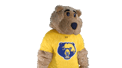 WVUTech sports celebrate college clap Sticker