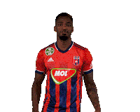 Vidi Sticker by MOL Fehérvár FC