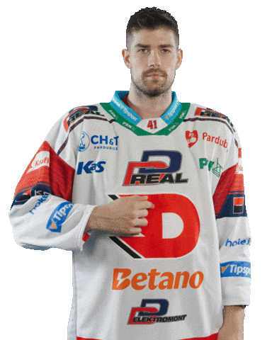 Hockey Czech Sticker by HC Dynamo Pardubice