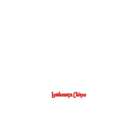 Festa Rosa Sticker by lembrancachique