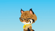 appexchange cat blue thumbs up awesome GIF