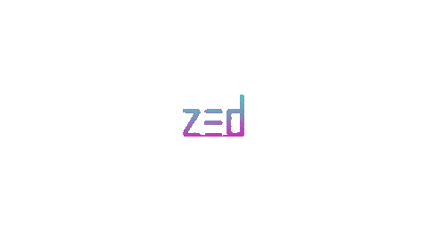 Animation Glitch Sticker by ZEDRUN