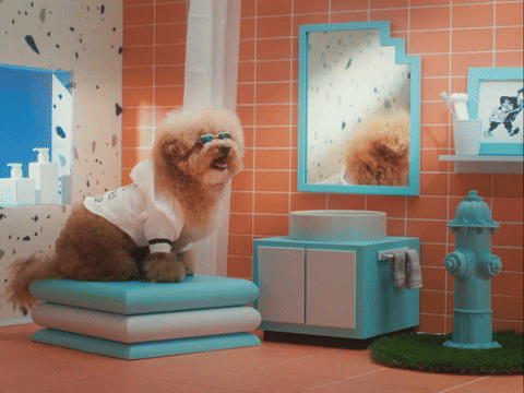 My Future is So Bright...