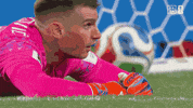 Save World Cup GIF by DAZN