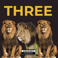Three Lions Roar GIF by STARCUTOUTSUK
