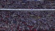 london football GIF by Tottenham Hotspur