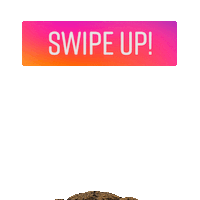 bear swipe up Sticker by University of Northern Colorado