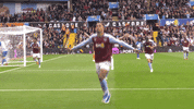Avfc GIF by Aston Villa FC