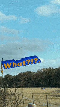 Blimp What GIF