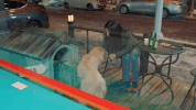 korean drama GIF by DramaFever