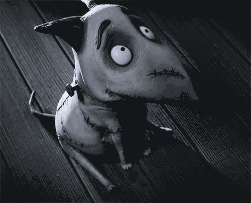 tim burton dog GIF