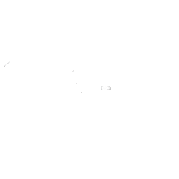 Festival Seal Sticker by Phoque OFF