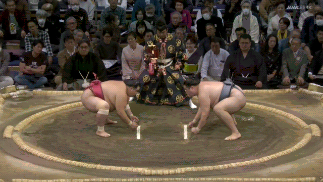 Sumo GIF