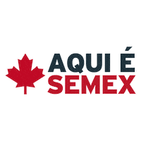 Semex Team Sticker by semexbrasil
