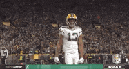 Regular Season Football GIF by NFL