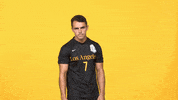Nick Nelson Sport GIF by Cal State LA Golden Eagles
