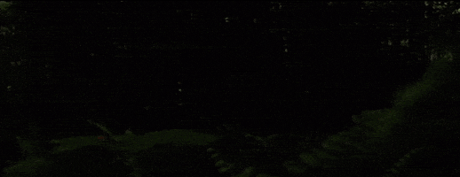 On My Mind Yo Moxie GIF by Moxie Raia